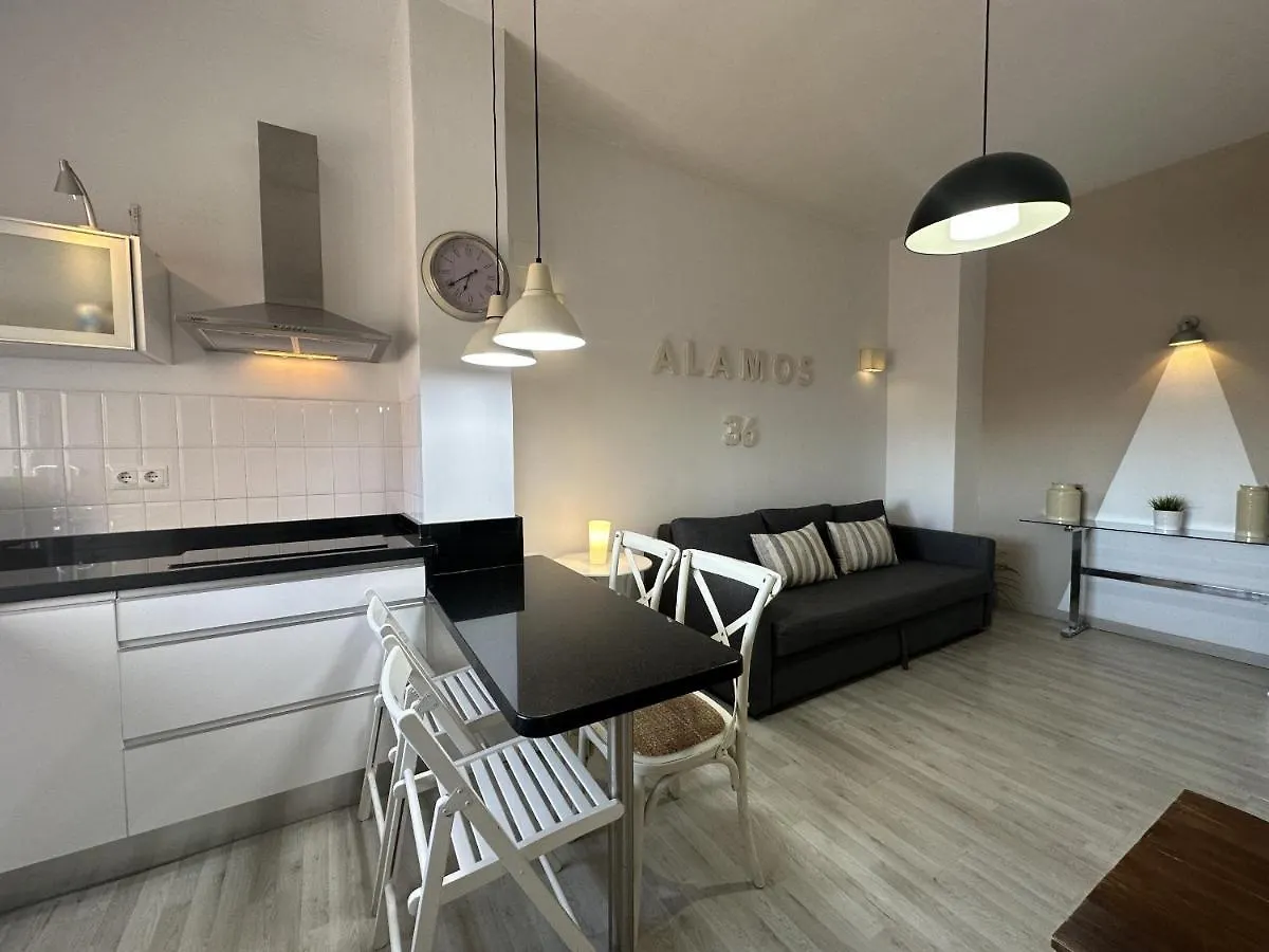 Alamos Suite Malaga 0*,  Spain